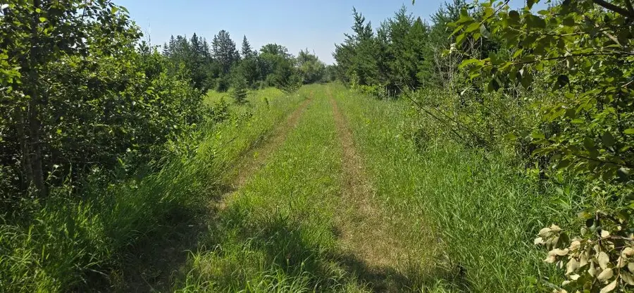 7 County Road 7, Verndale, MN 56481 - #2