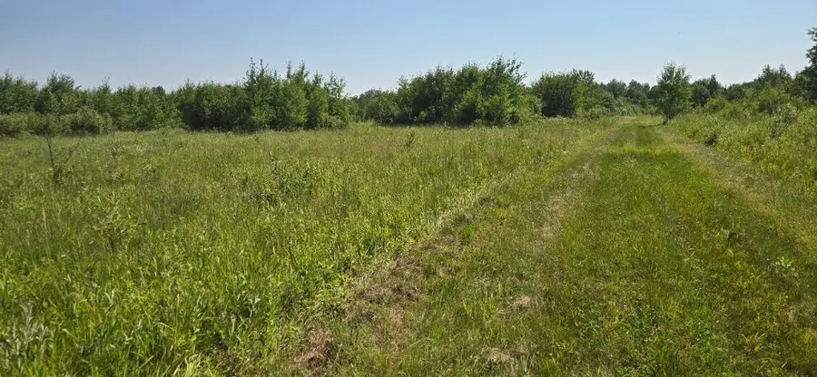 7 County Road 7, Verndale, MN 56481 - #3