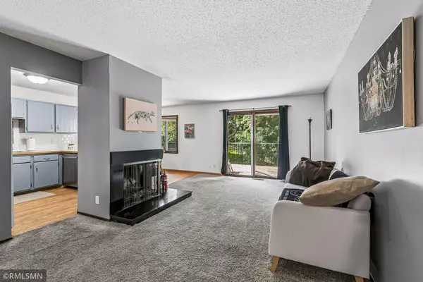 4384 Arden View Court, Arden Hills, MN 55112