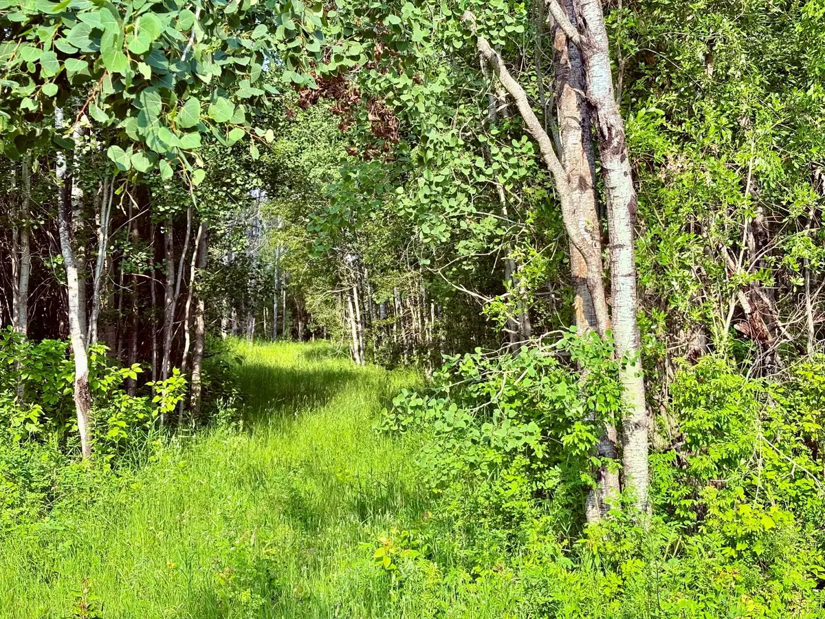 TBD 21st Ave Sw, Baudette, MN 56623 - #1