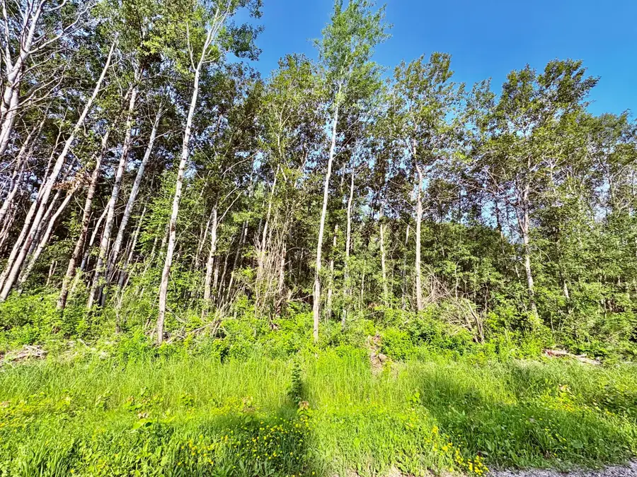TBD 21st Ave Sw, Baudette, MN 56623 - #3