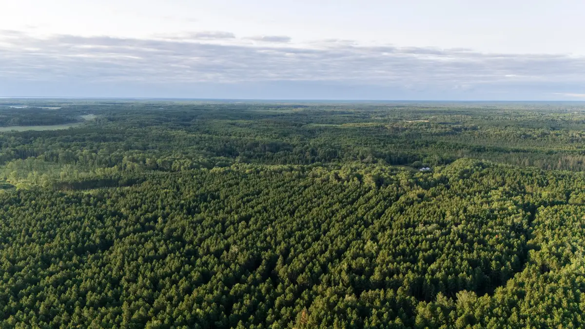 NESW Forest Road 3845 Ne, Pennington, MN 56663 - #1