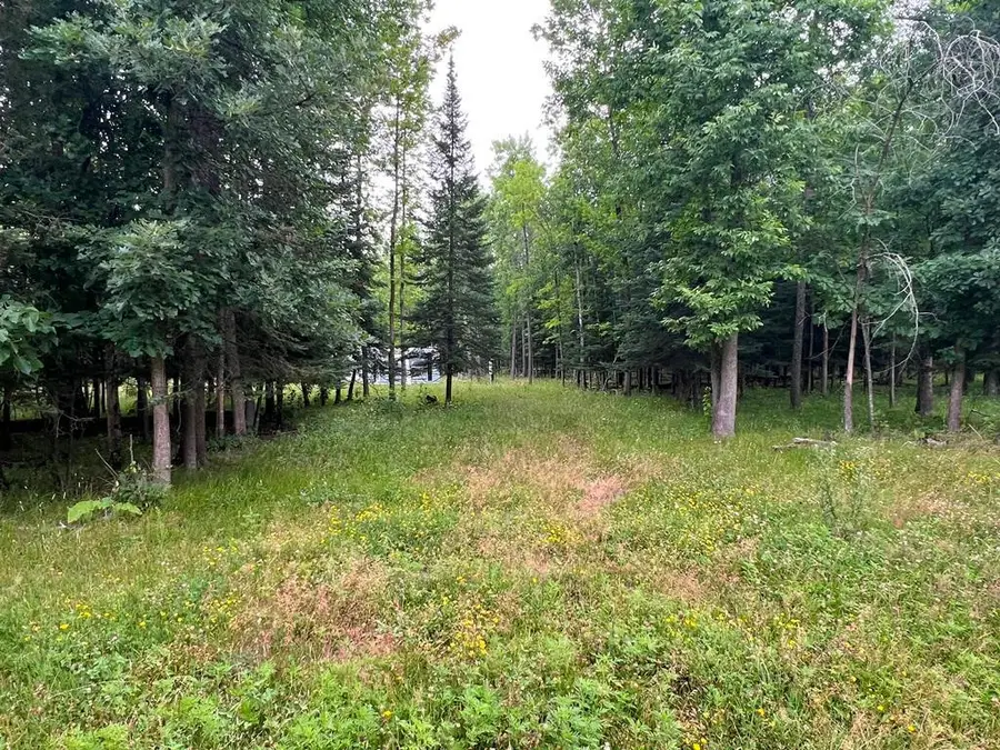 42228 County Road 234, Cohasset, MN 55721 - #2