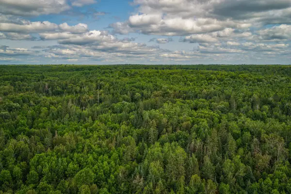 TBD 219th Avenue, Bemidji, MN 56601