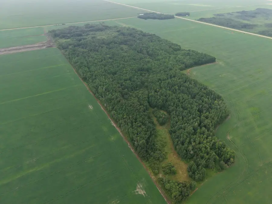 TBD 330th Avenue Ne, Goodridge, MN 56725 - #3