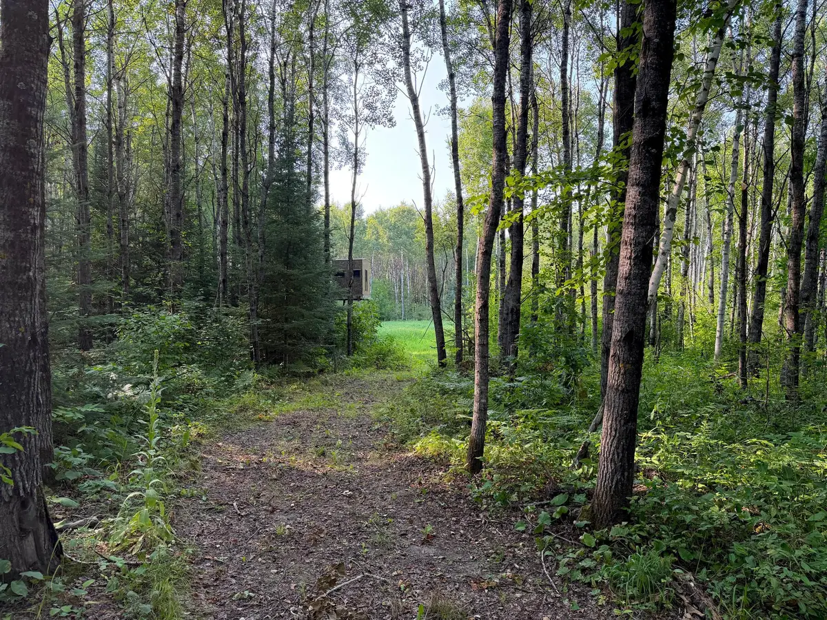 XX County Rd 1, Emily, MN 56447 - #1