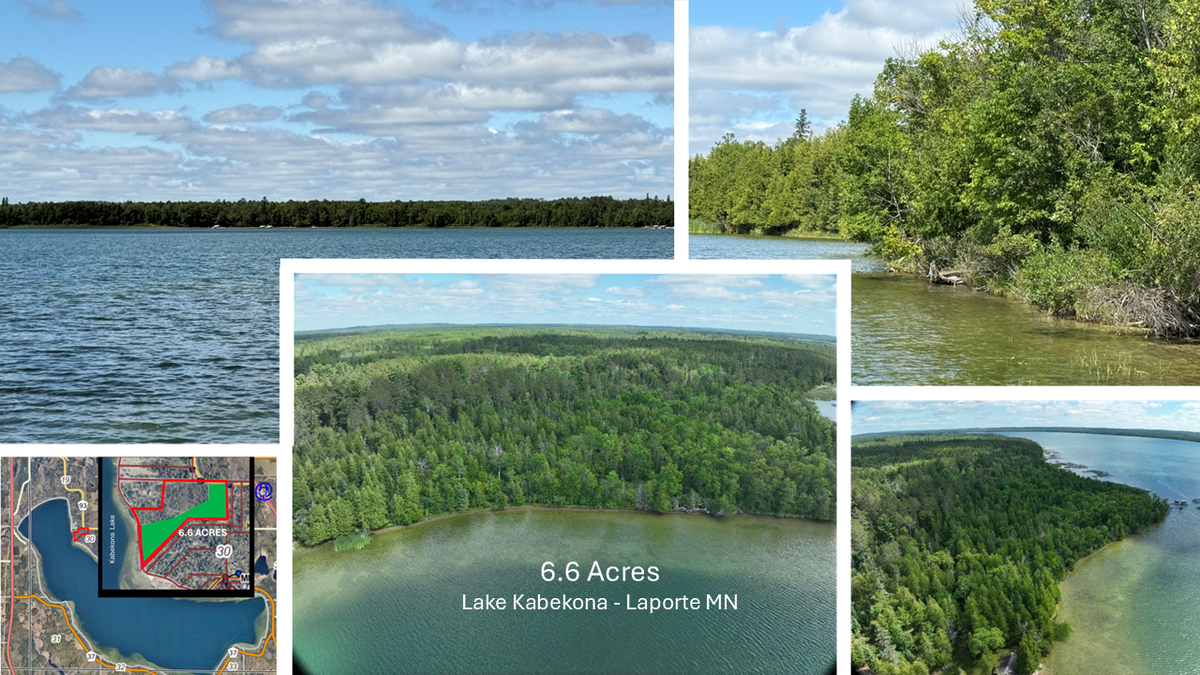 28393 County 93, Laporte, MN 56461 - #1