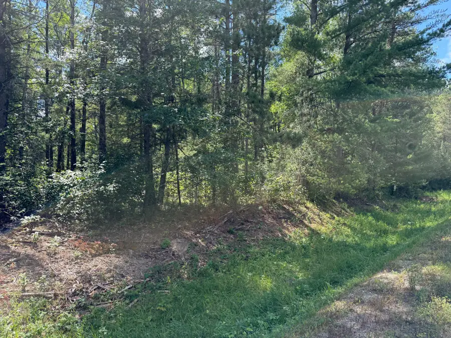 28393 County 93, Laporte, MN 56461 - #2