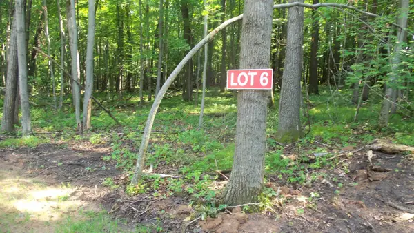 Lot 6 Howard Johnson Trl, Siren, WI 54872