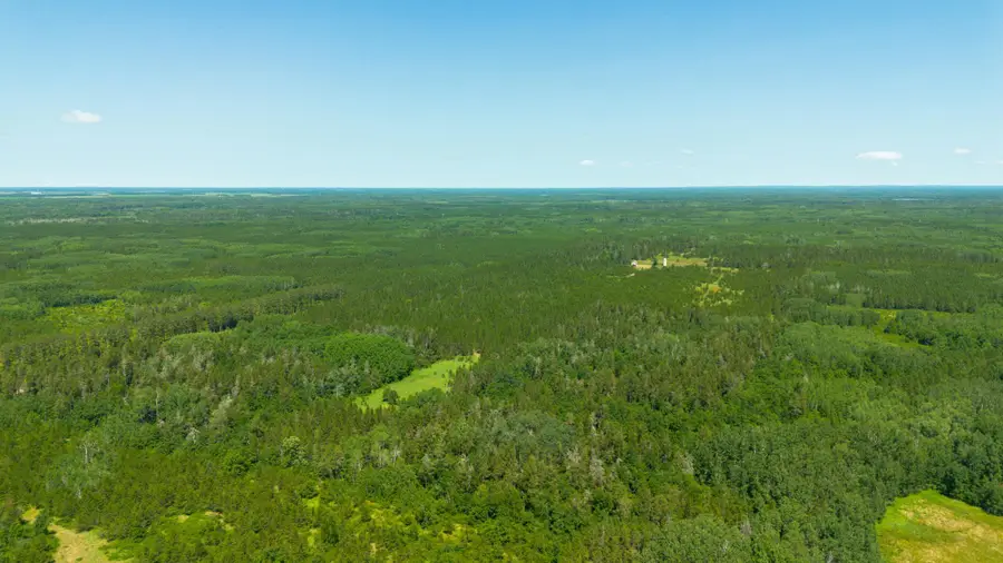 Tract 3 - TBD 259th Ave, Menahga, MN 56464 - #3