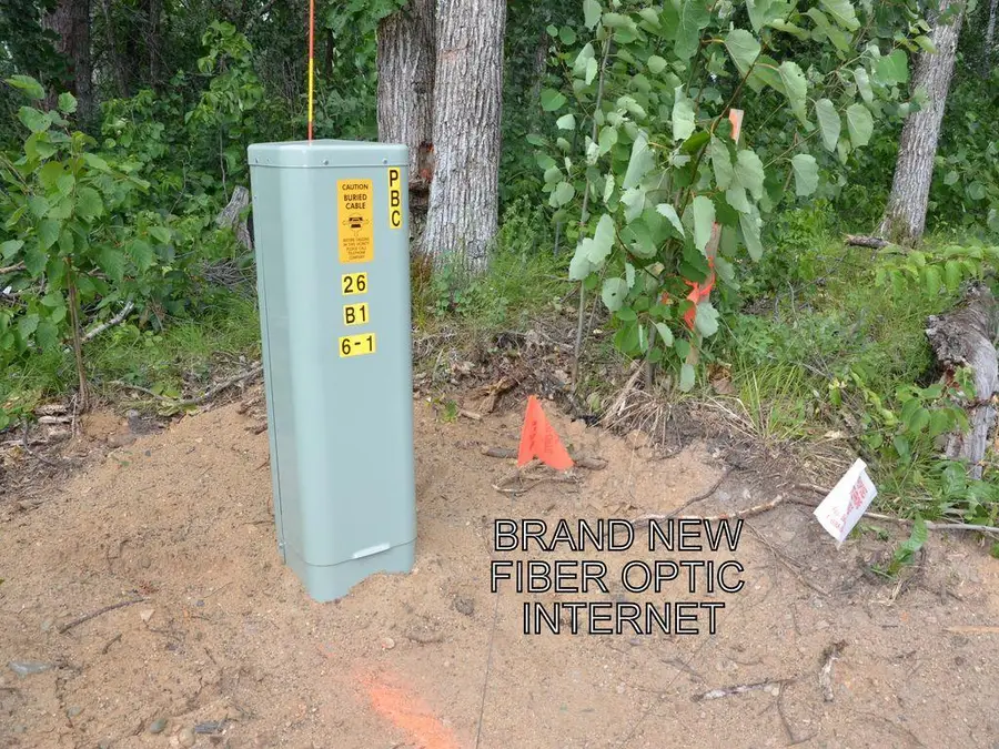 XXX Firewood Trail, Park Rapids, MN 56470 - #3