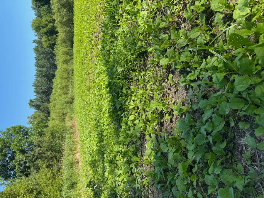 TBD Us Hwy 169, Le Sueur, MN 56058 - #3