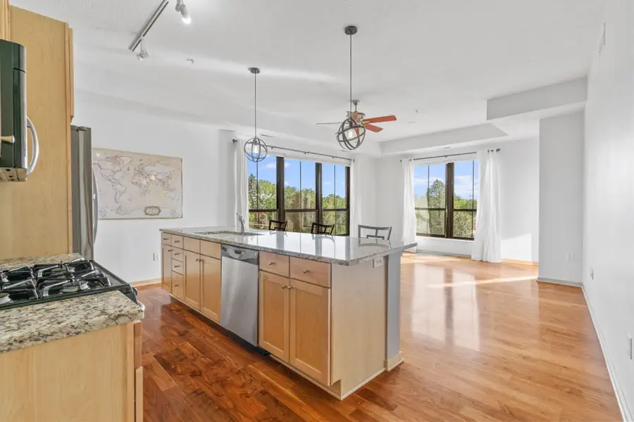 4525 Park Commons Drive #201, Minneapolis, MN 55416 - #2