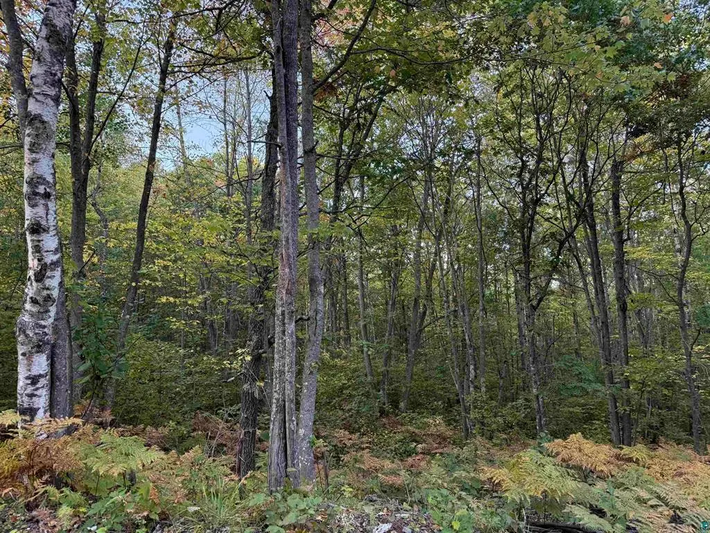 000 Hwy 2, Iron River, WI 54847 - #1