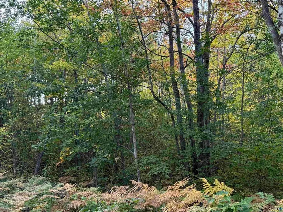 000 Hwy 2, Iron River, WI 54847 - #2