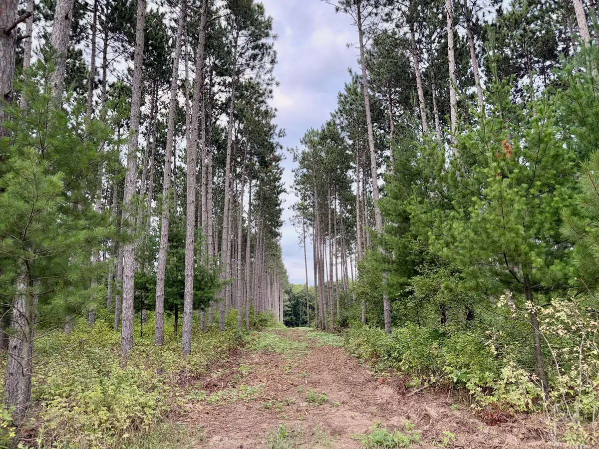 (Lot 1) TBD Tulip Street Nw, Stanchfield, MN 55080 - #1