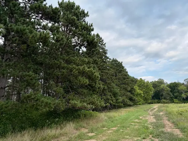(Lot 2) TBD Tulip Street Nw, Stanchfield, MN 55080