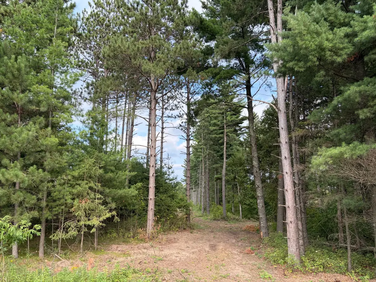(Lot 5) TBD Tulip Street Nw, Stanchfield, MN 55080 - #1