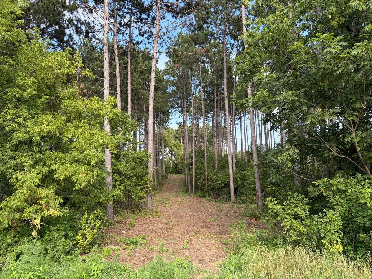 (Lot 6) TBD Tulip Street Nw, Stanchfield, MN 55080 - #1