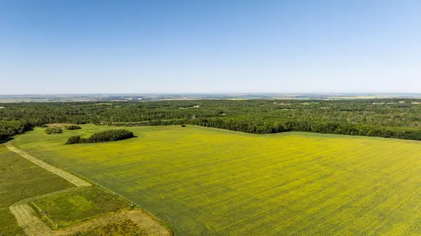 TBD Lake Road, Bottineau, ND 58318