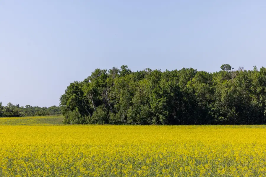 TBD Lake Road, Bottineau, ND 58318 - #3