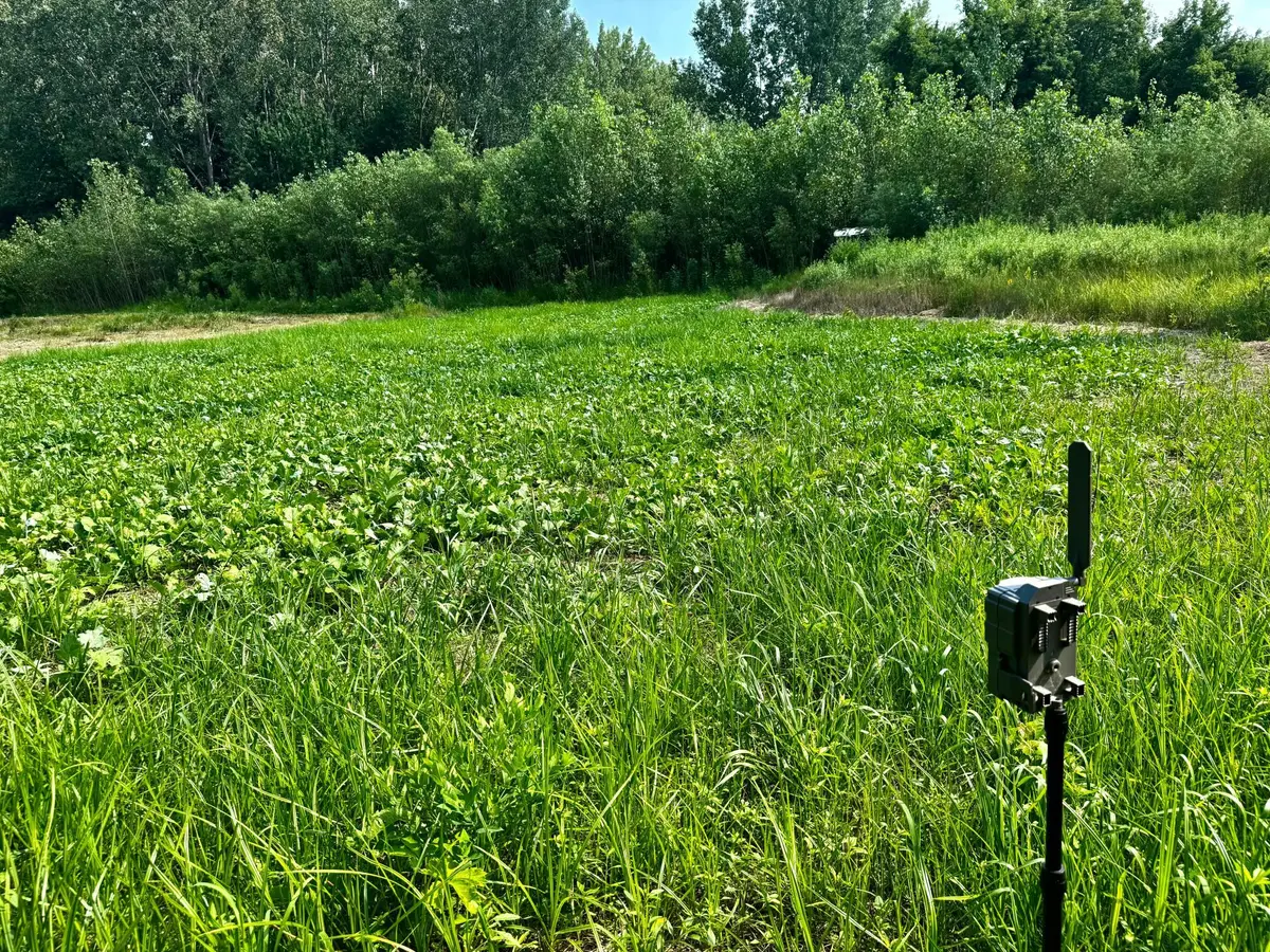 TBD Grove Street, Le Sueur, MN 56058 - #1