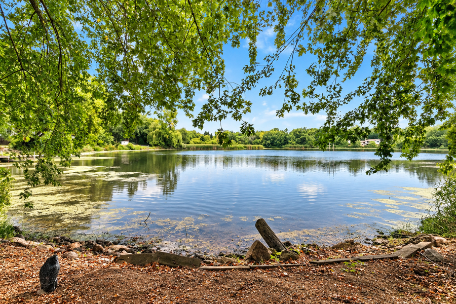 10250 Boundary Creek Terrace, Maple Grove, MN 55369 - #3