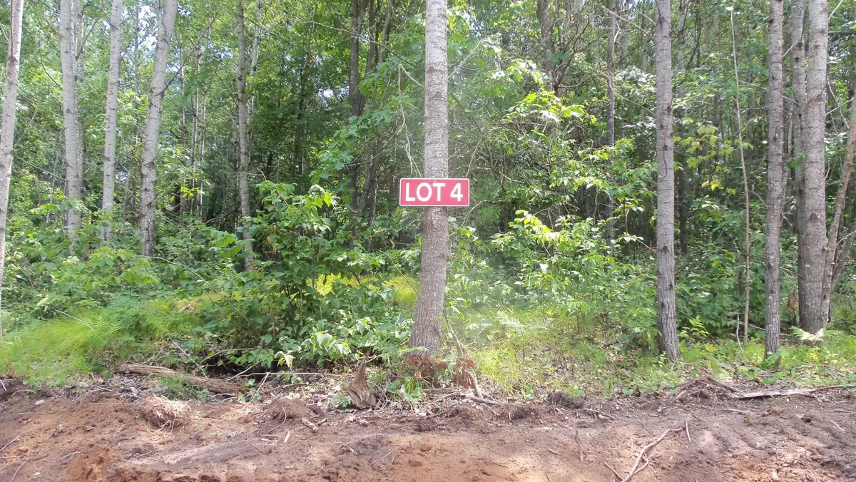 Lot 4 Birch Tree Trl, Spooner, WI 54801 - #1