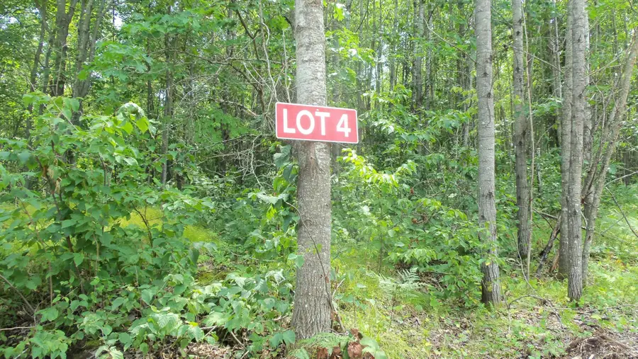Lot 4 Birch Tree Trl, Spooner, WI 54801 - #2