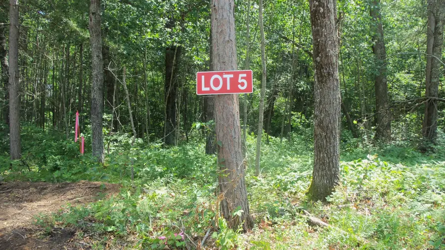 Lot 5 Brch Tree Trl, Spooner, WI 54801 - #2