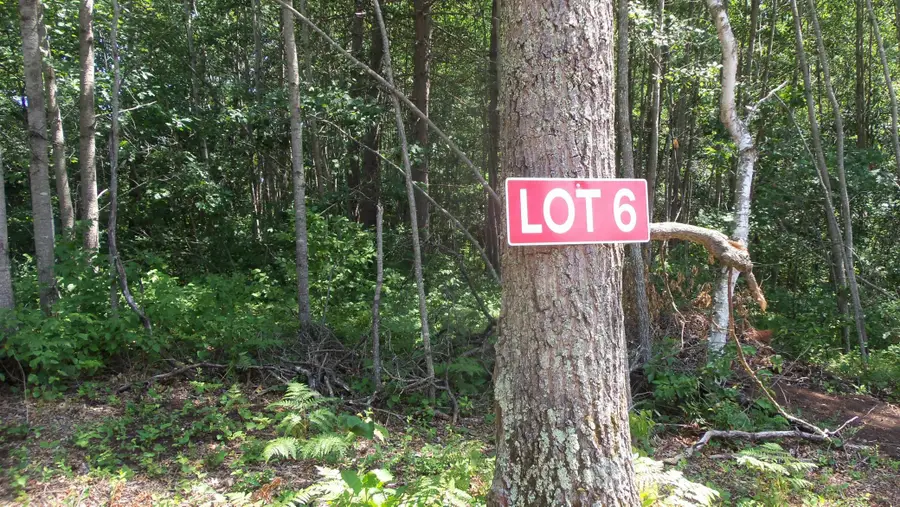 Lot 6 Birch Tree Trl, Spooner, WI 54801 - #2
