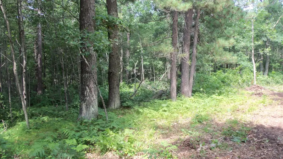 Lot 7 Birch Tree Trl, Spooner, WI 54801 - #3