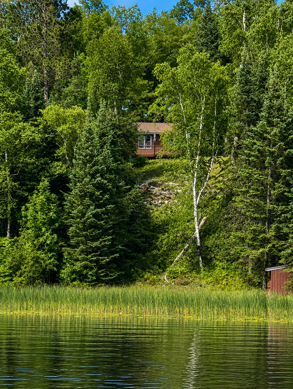 37800 Grave Lake Forest Road, Deer River, MN 56636