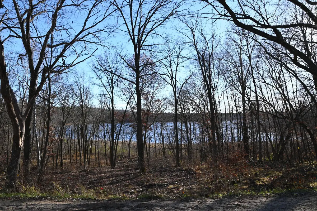 TBD51 Ottawa Drive, Browerville, MN 56438 - #1