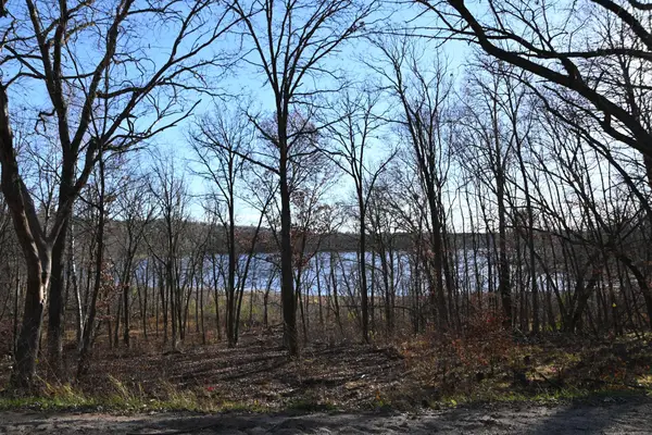 TBD51 Ottawa Drive, Browerville, MN 56438