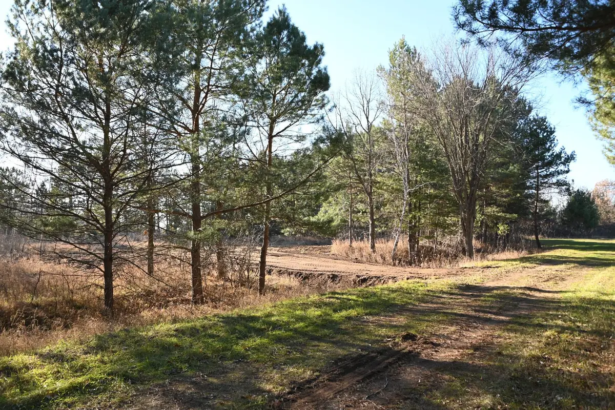 28969 Pequot Court, Browerville, MN 56438 - #1