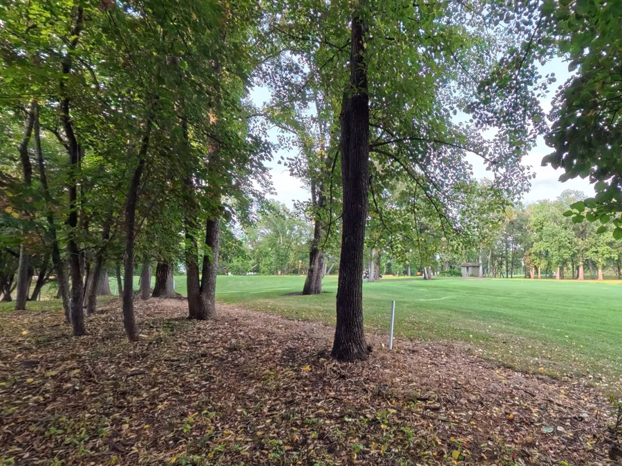 Lot 4 S Le Homme Dieu Drive Ne, Alexandria, MN 56308 - #3