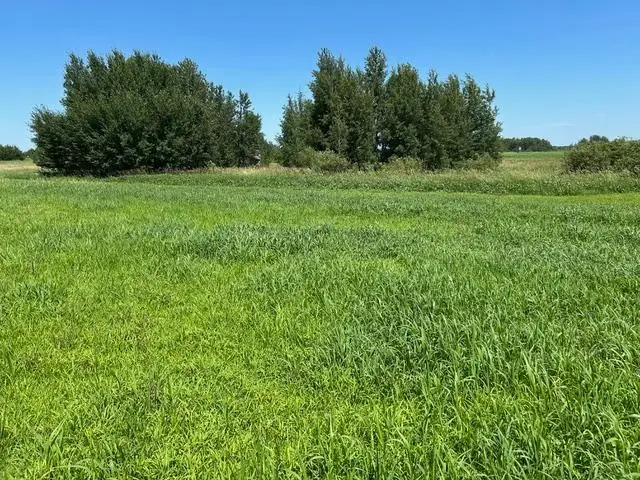 TBD 210th Street, Glenwood, MN 56334 - #1