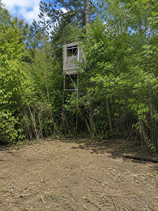 TBD Chimney Road, Nevis, MN 56467