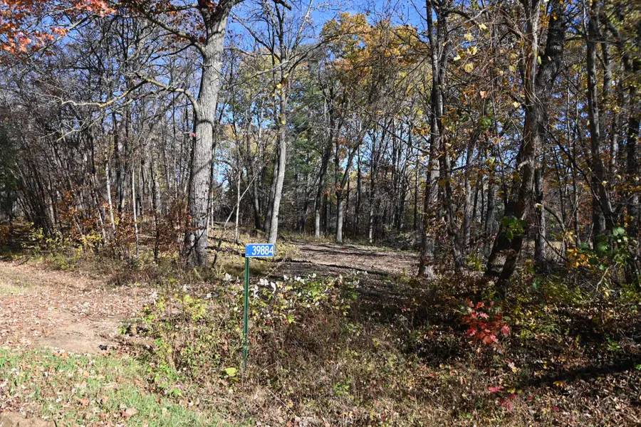 39884 Pine Island Pt Drive, Browerville, MN 56438 - #2