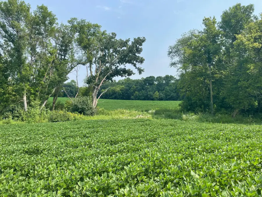 TBD Dodd Road, Kilkenny, MN 56057 - #2