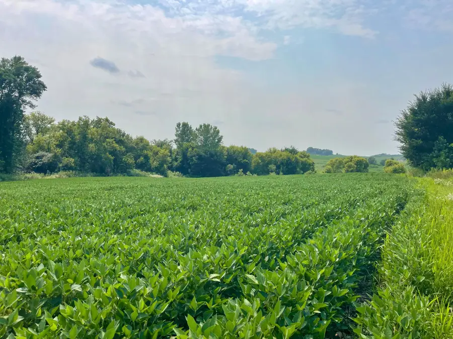 TBD Dodd Road, Kilkenny, MN 56057 - #3
