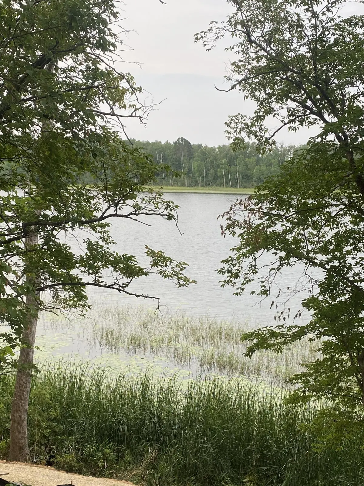 TBD Wolf Ridge Drive, Cass Lake, MN 56633 - #1