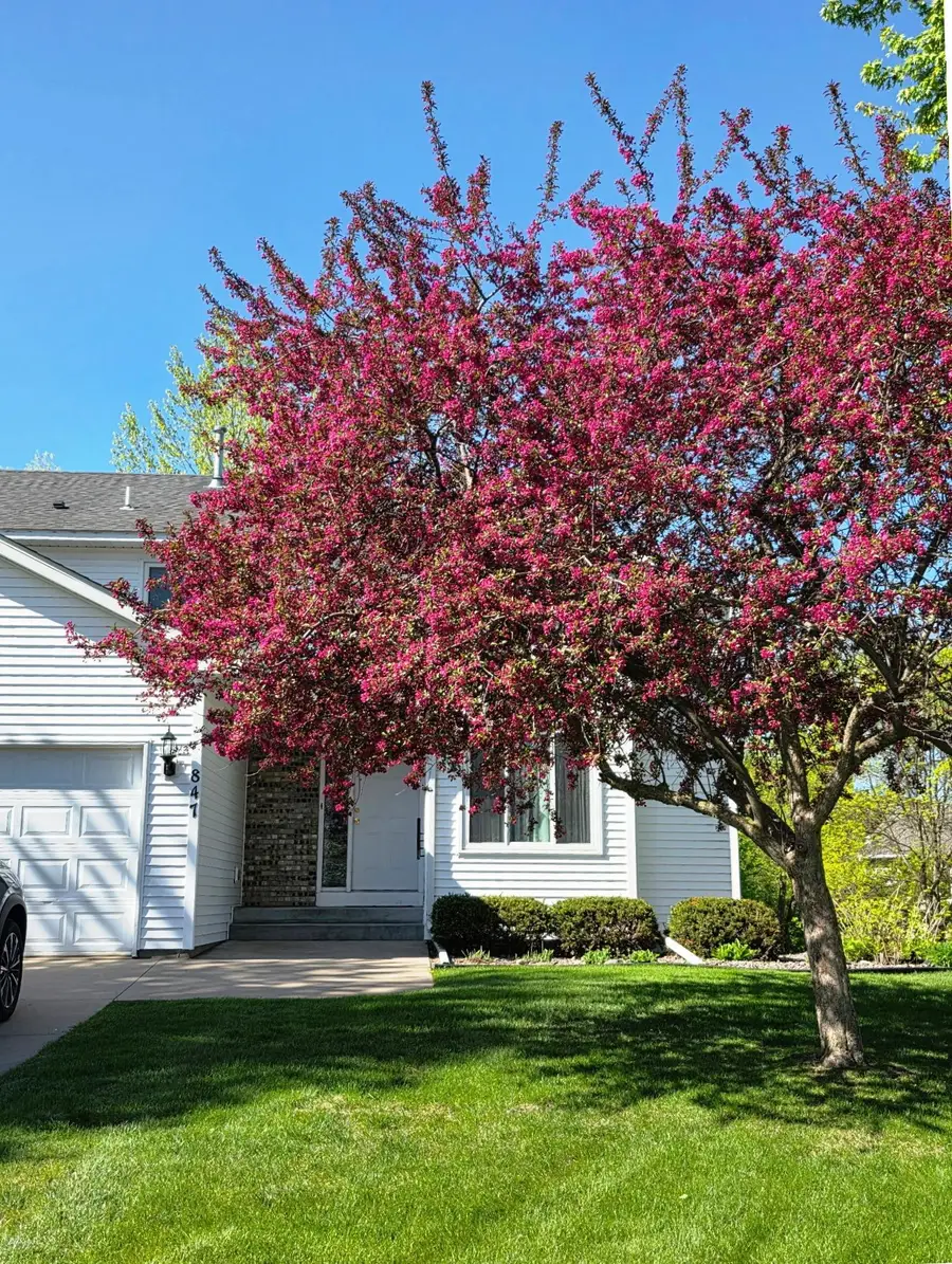 847 Vista Circle, Delano, MN 55328 - #3