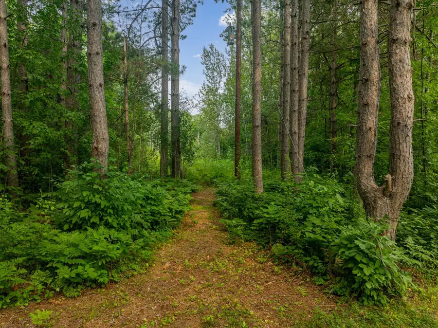 TBD Hanson Lake Rd, Grand Rapids, MN 55744 - #2