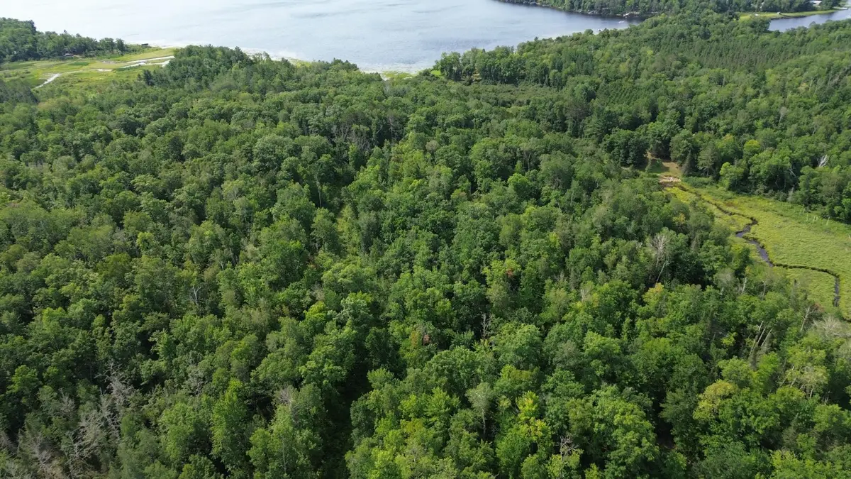 22751 County Road 1, Emily, MN 56447 - #1