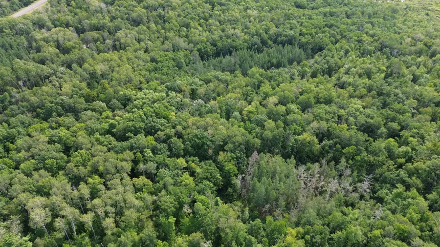 22751 County Road 1, Emily, MN 56447 - #2
