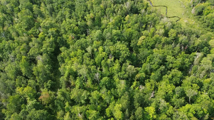 22751 County Road 1, Emily, MN 56447 - #3