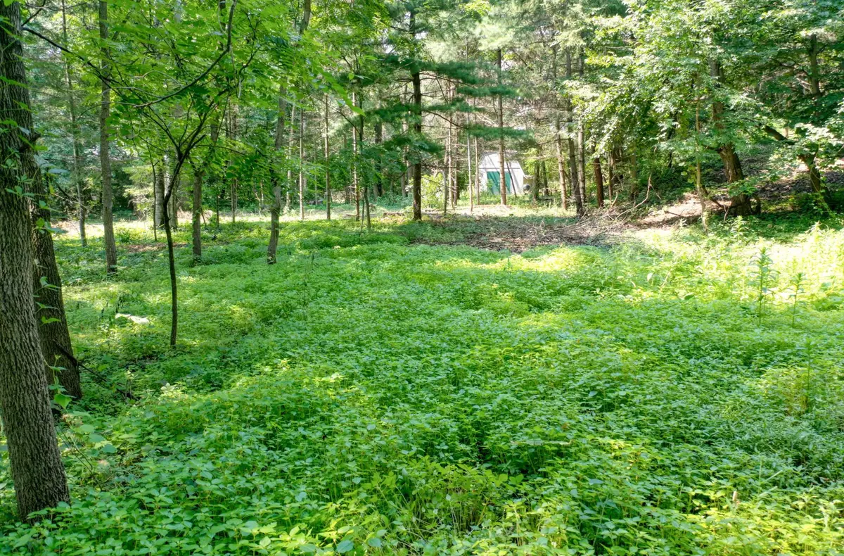 TBD 219th Street N, Forest Lake, MN 55025 - #1