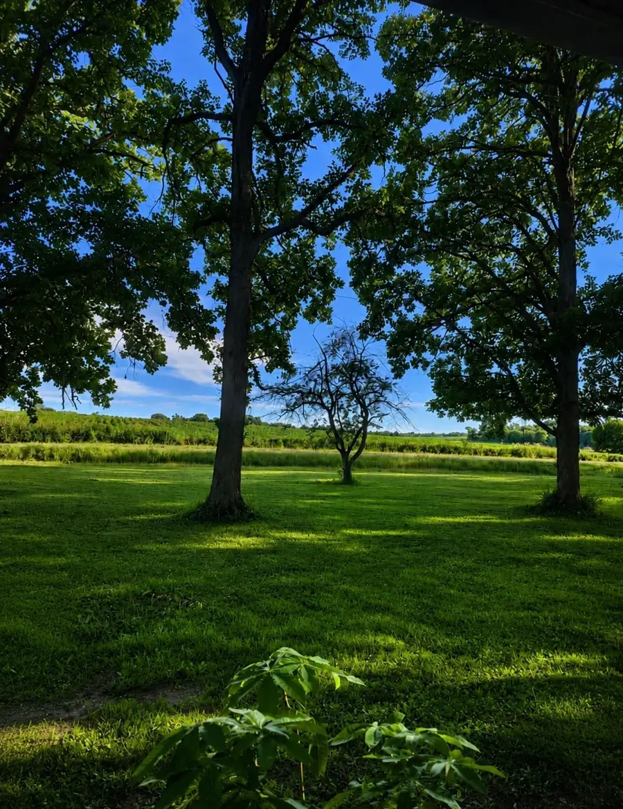 465 70th Avenue #J, Clayton, WI 54004 - #2